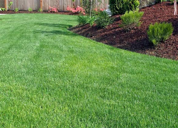Lawn Care in Mercer County NJ | Royal Touch Landscaping