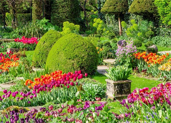 Planting Services in Mercer County NJ | Royal Touch Landscaping